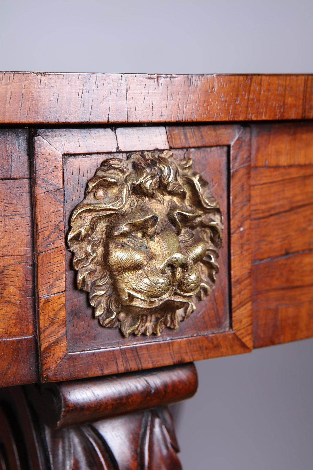 Regency Rosewood Drum Table close-up of brass lion mask drawer handle on rich rosewood woodwork.