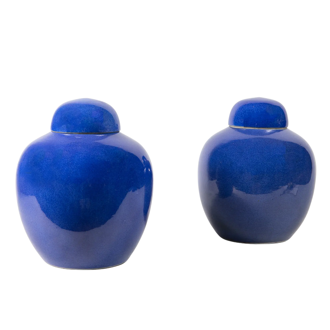 Pair of Chinese powder blue porcelain vases with covers, late Qing period circa 1880, from Nwtiques
