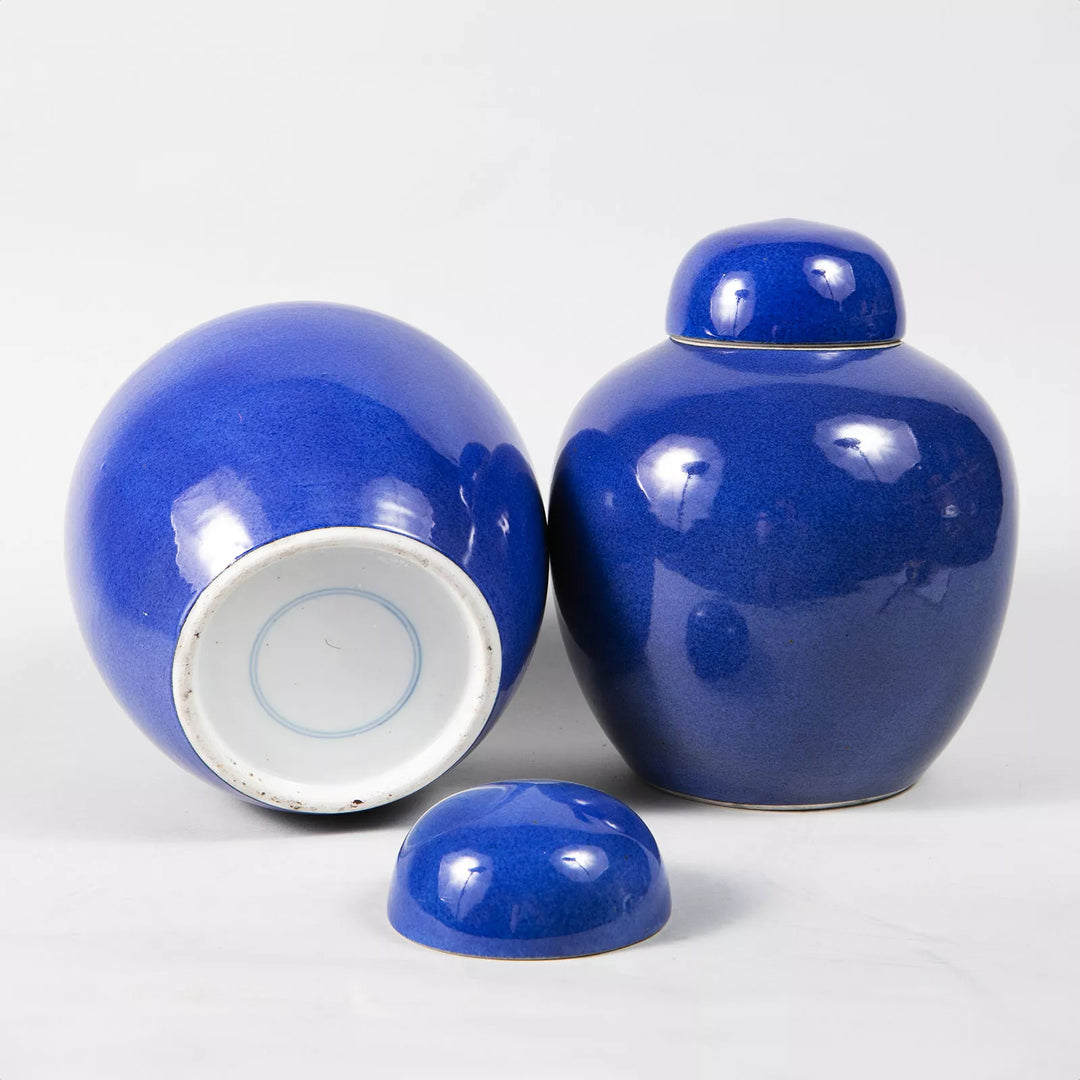 Pair of Qing Dynasty Chinese powder blue porcelain vases with covers from Nwtiques, circa 1880.