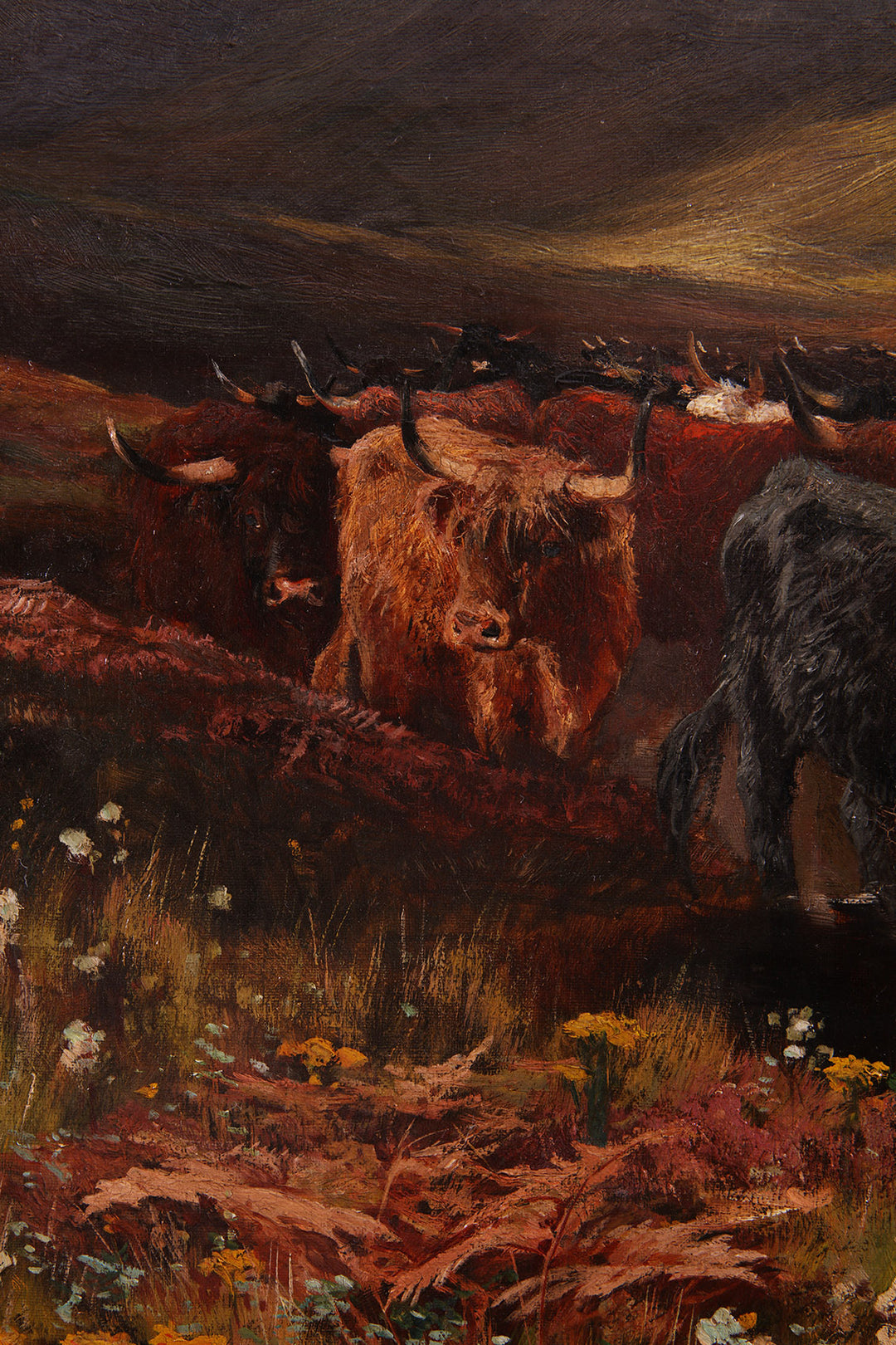 Oil painting of highland cattle in a moody landscape by Henry Hadfield Cubley Collection PK10