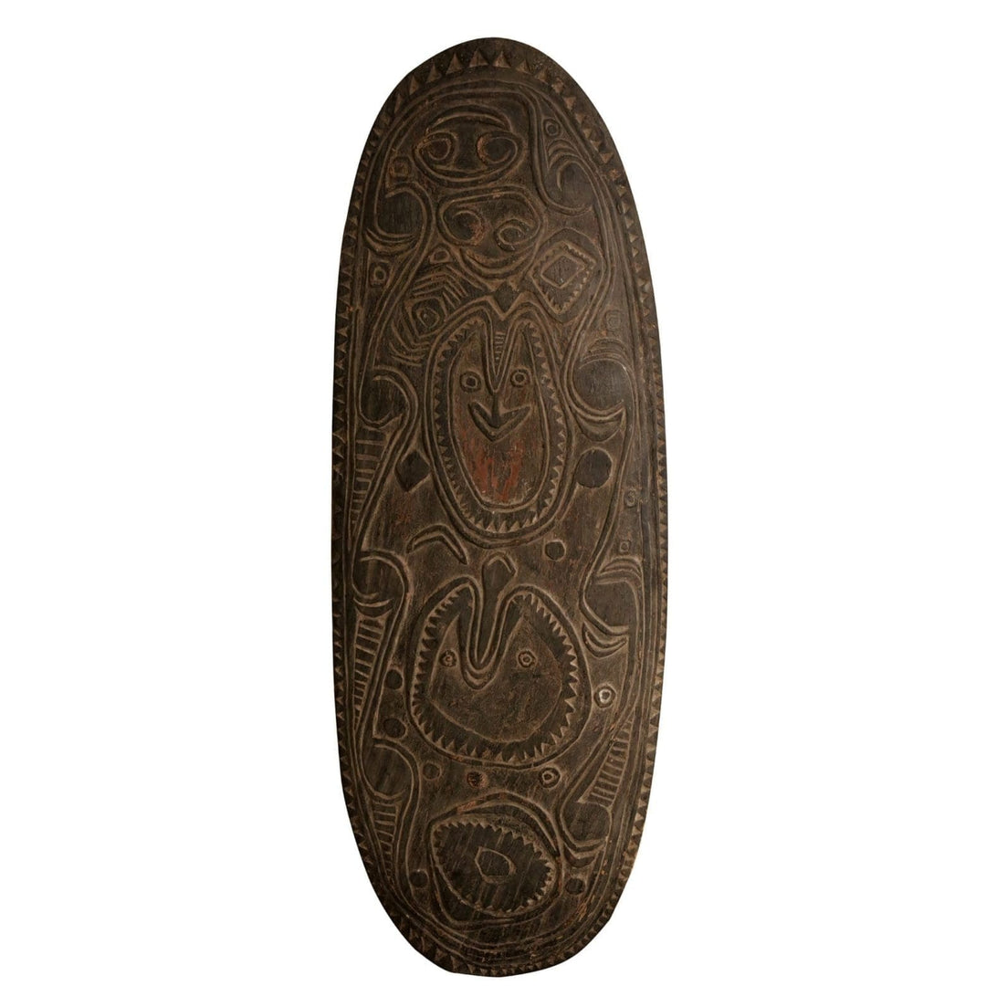 19th-century Bahinemo war shield from Papua New Guinea featuring traditional carvings by Collection ON10