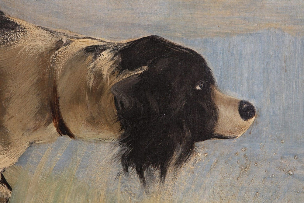 Water Spaniel painted by Eilert Mehl showing the dog standing in shallow water from Collection CK10