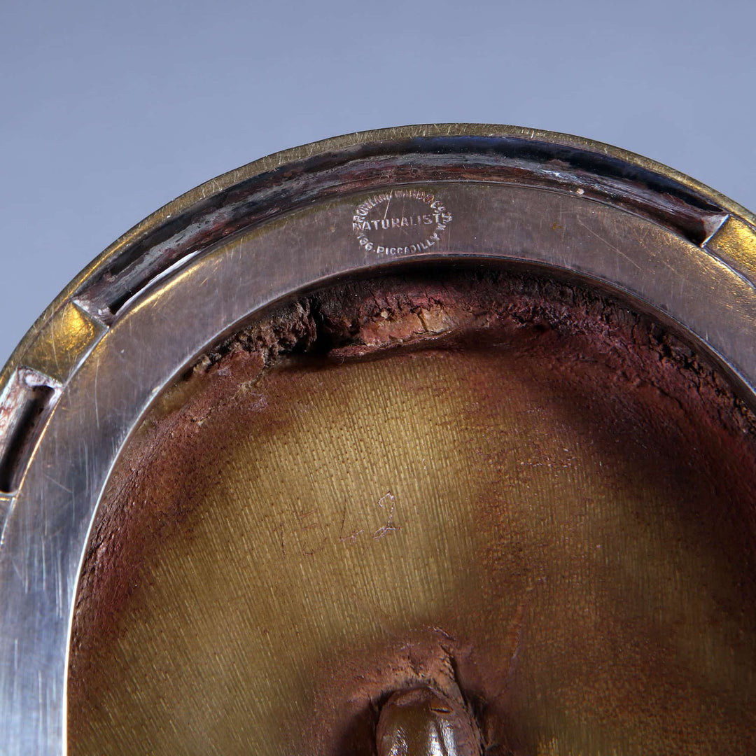 Close-up of late 19th century horse hoof inkwell with silver mounts stamped Naturalists by Nwtiques