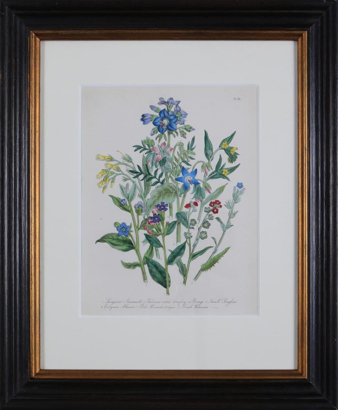 Jane Loudon