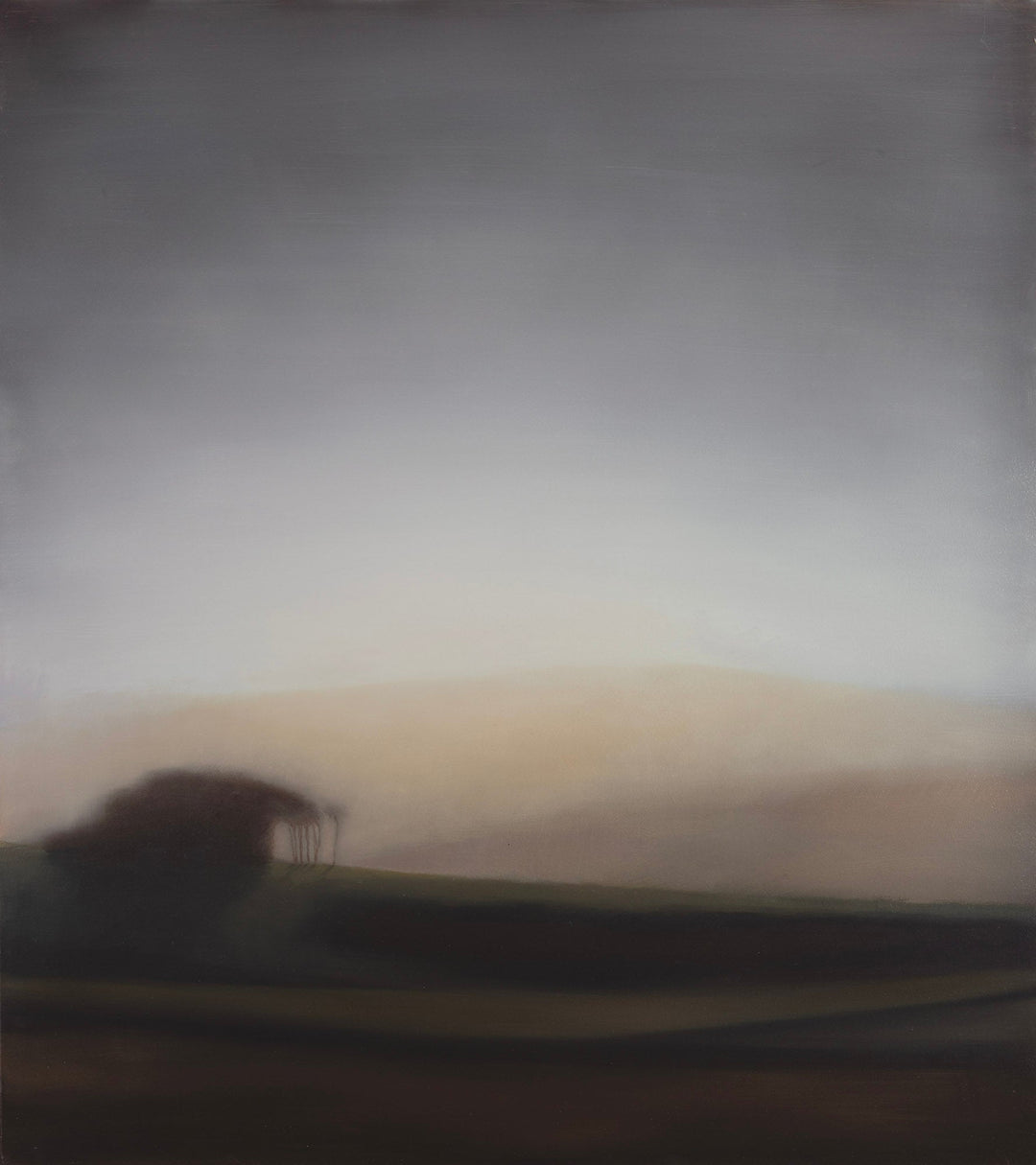 Little Copse On Dartmoor | V.O.E