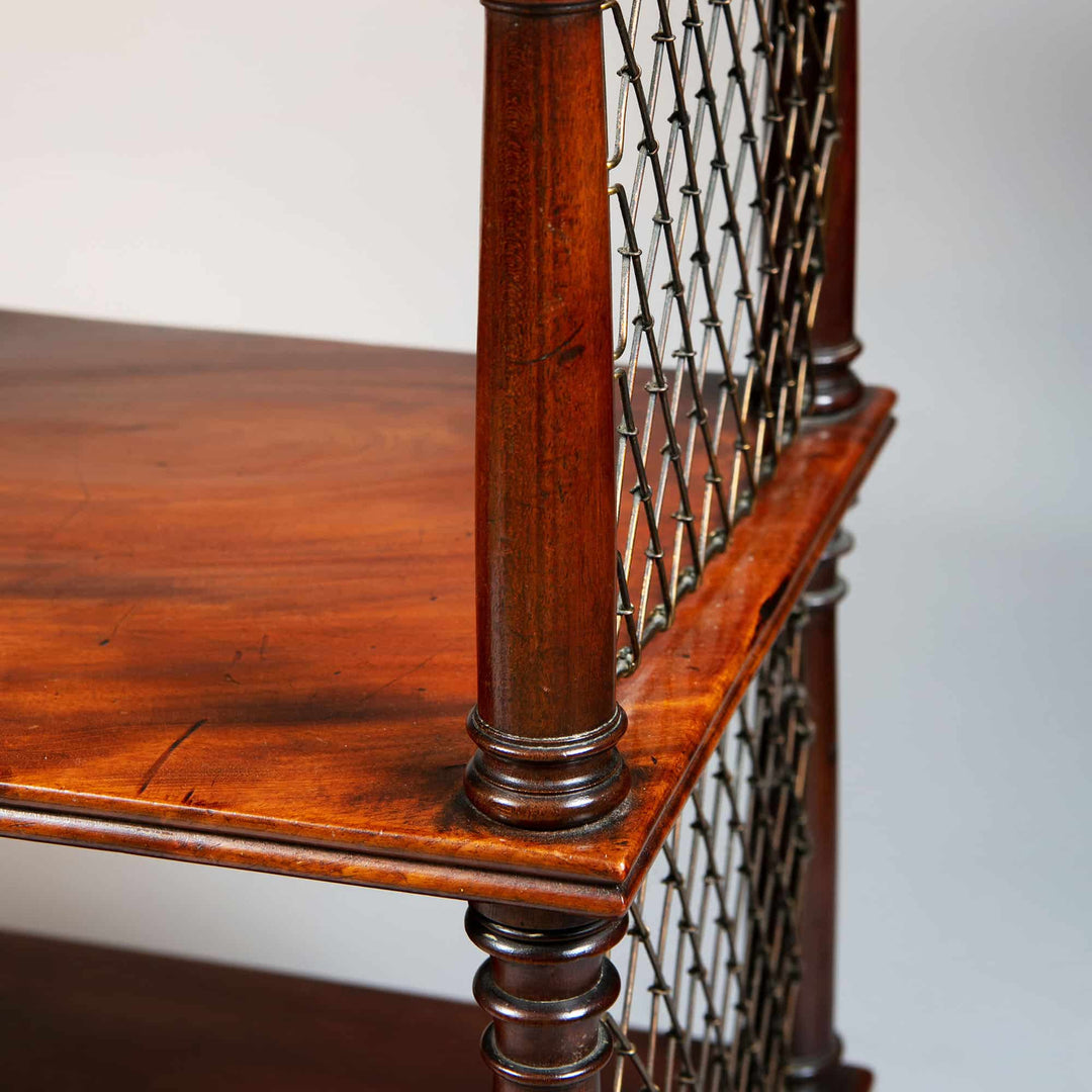 Close-up of Regency flame mahogany shelves with brass wire panels and turned Tuscan Doric columns by Collection CK20