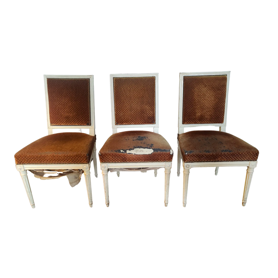 Set of three Louis XVI side chairs by Nwtiques with distressed original horsehair upholstery