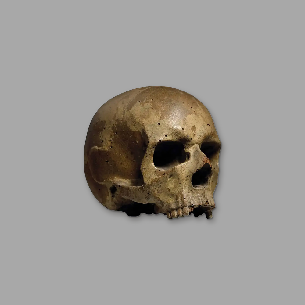 Memento Mori, on a plain mid-grey background.