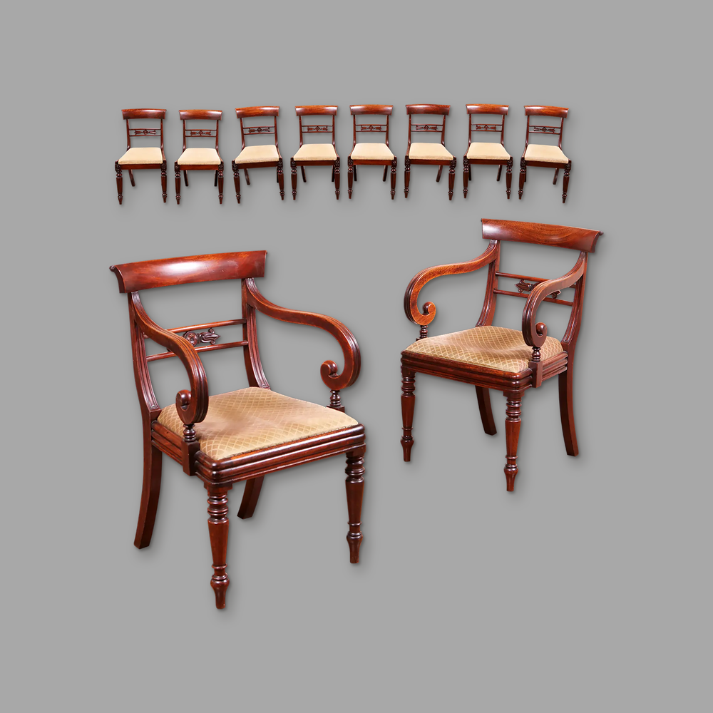 Set of 2+8 William IV Mahogany Dining Chairs, on a plain mid-grey background.