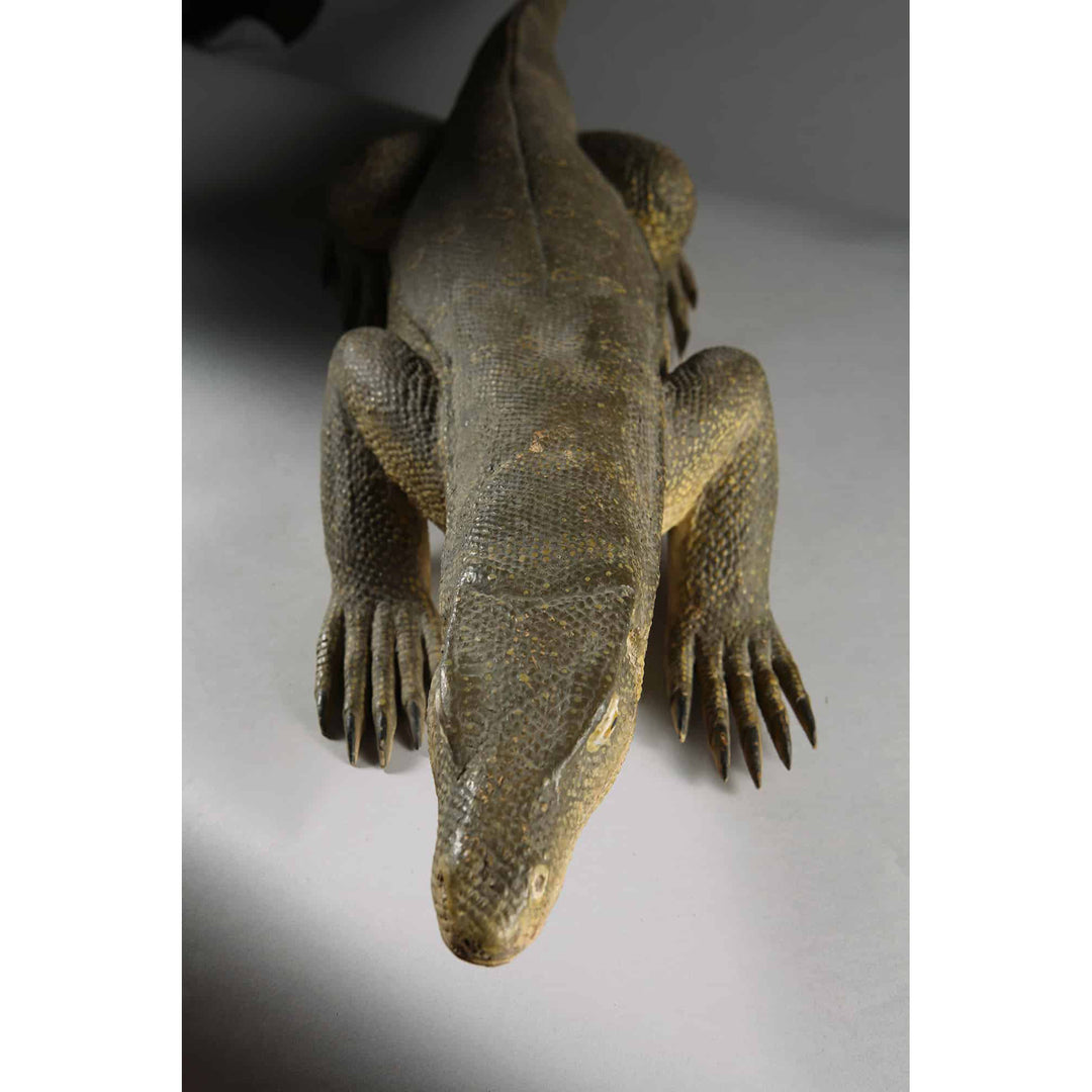 Carved wood Komodo dragon figure from Indonesia by Nwtiques, naturalistic detailing and life size model