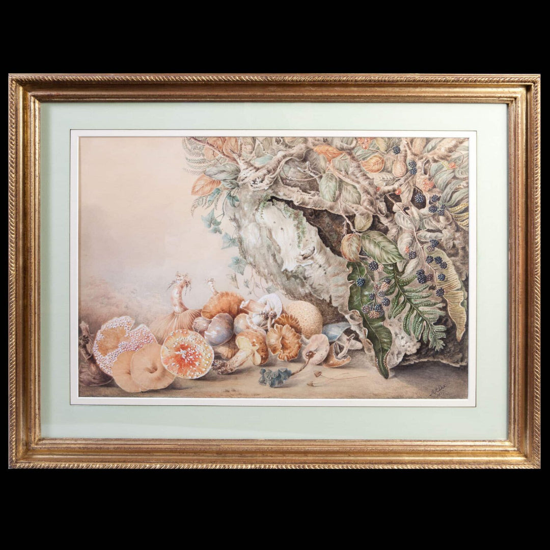 Victorian watercolour of autumnal mushrooms and blackberries by M. A. Dix circa 1859 from Collection TH20
