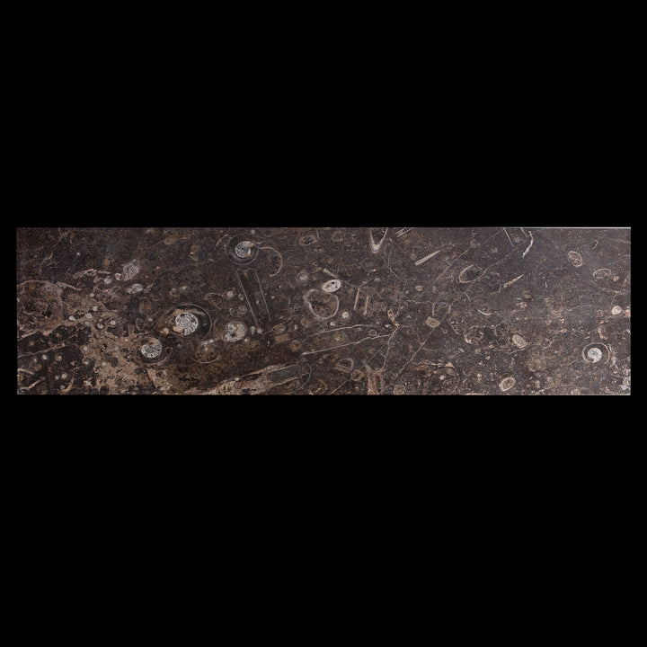 Dark fossil stone slab with intricate natural patterns from Collection TH10 for elegant interior design