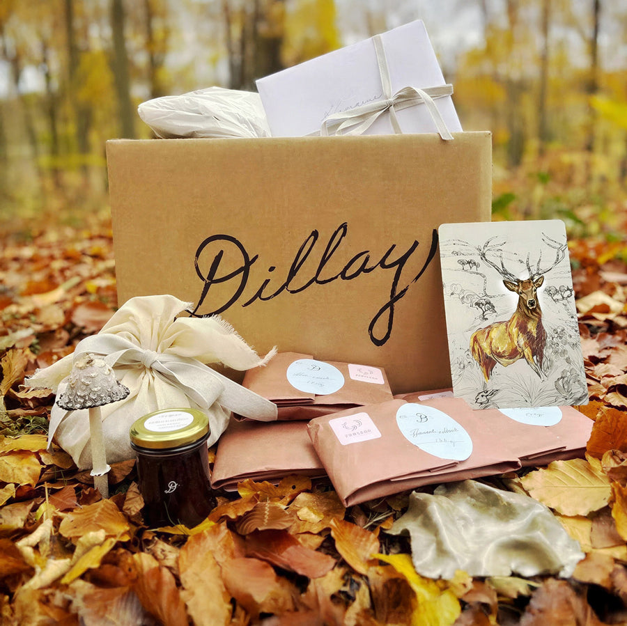 Dillay Woodland venison box by Nwtiques displayed outdoors on fallen autumn leaves with rustic packaging and deer illustration.