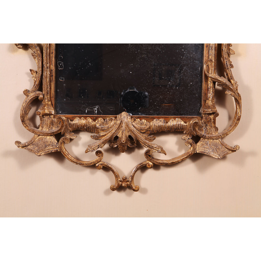 Detail of a small giltwood rococo-style George III mirror with ornate foliate carving by Collection TH30
