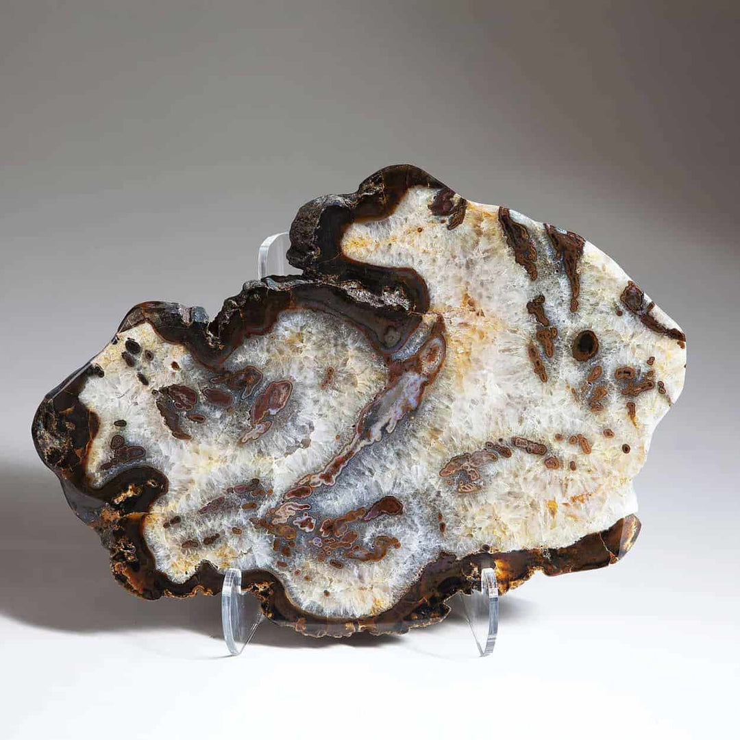 Polished Brazilian solid agate slice showcasing intricate crystalline bands by Collection CK10 on display stand
