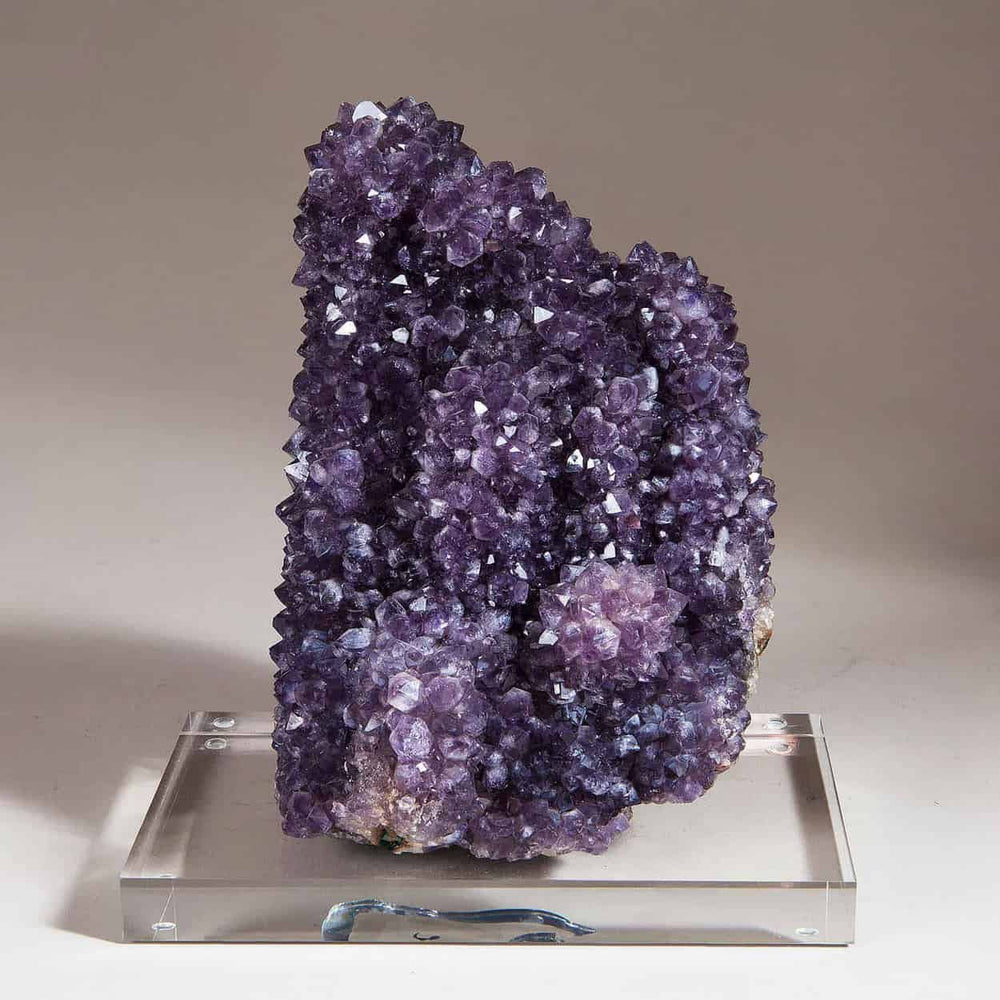 Amethyst Cactus Cluster spirit quartz with vivid purple crystals on clear display stand by Collection CK10