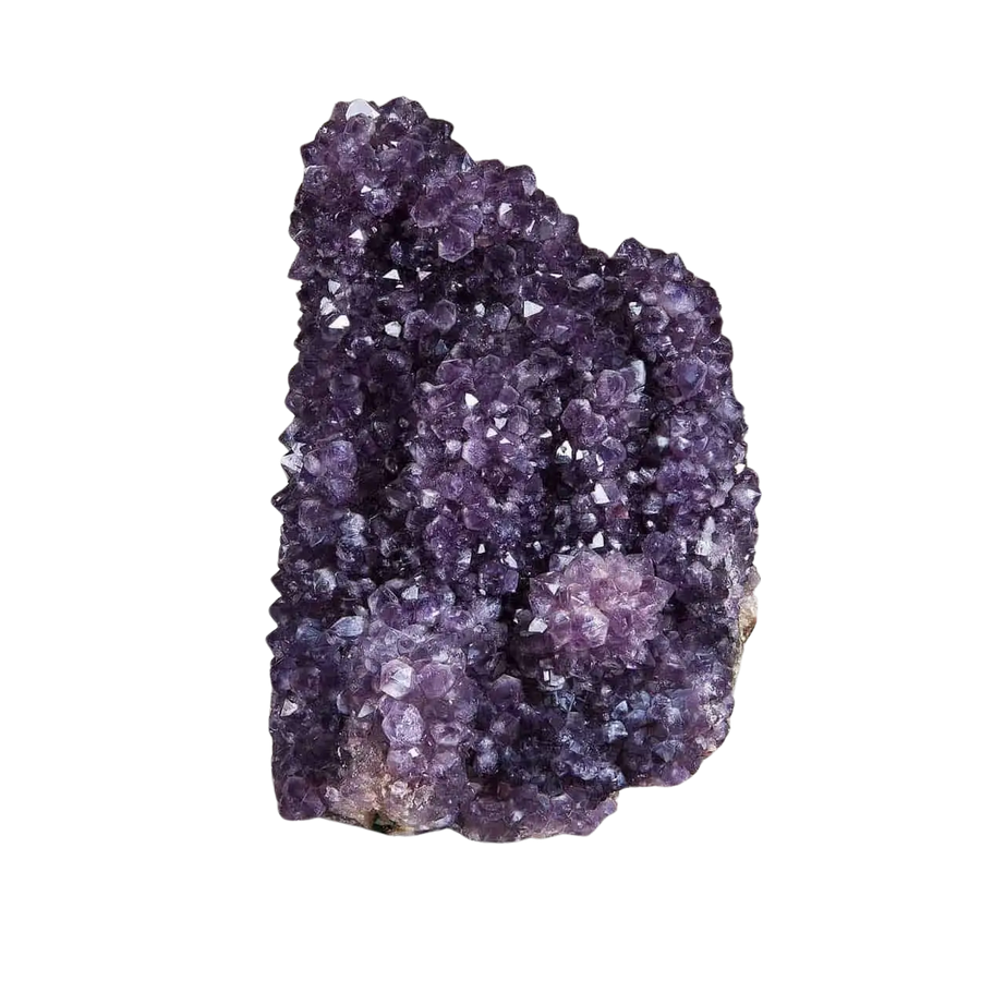 Vivid purple amethyst cactus cluster with sparkling crystals by Collection CK10, showcasing unique spirit quartz beauty
