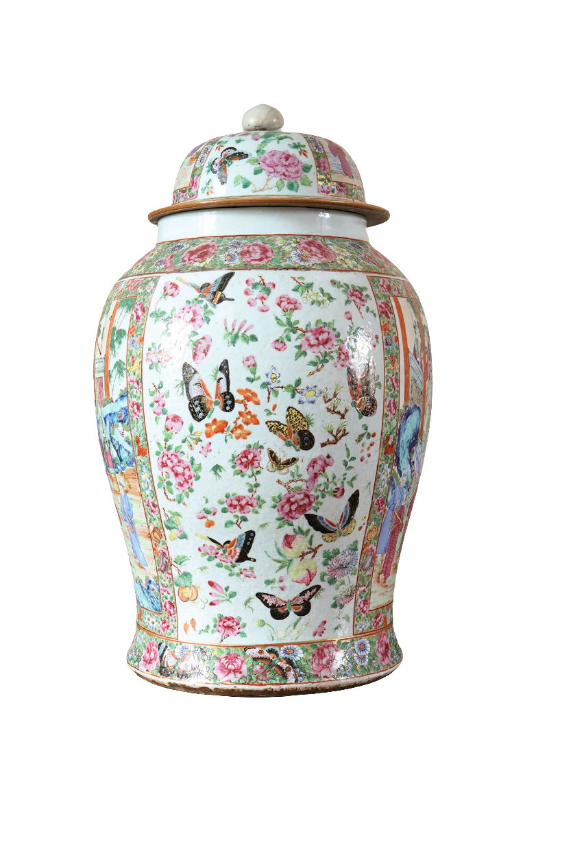 Large 19th century Canton Chinese export vase with floral and butterfly design by Collection EE20