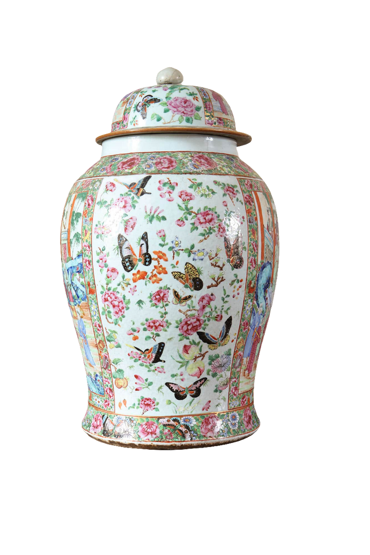 Large 19th century Canton Chinese export vase with floral and butterfly design by Collection EE20
