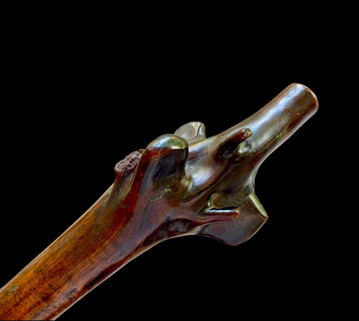 Close-up of a polished 19th-century Fijian rootstock war club by Nwtiques on a black background