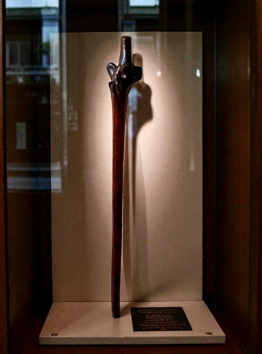 19th-century Fijian rootstock war club carved from hardwood displayed by Nicholas Wells Antiques in a glass case.