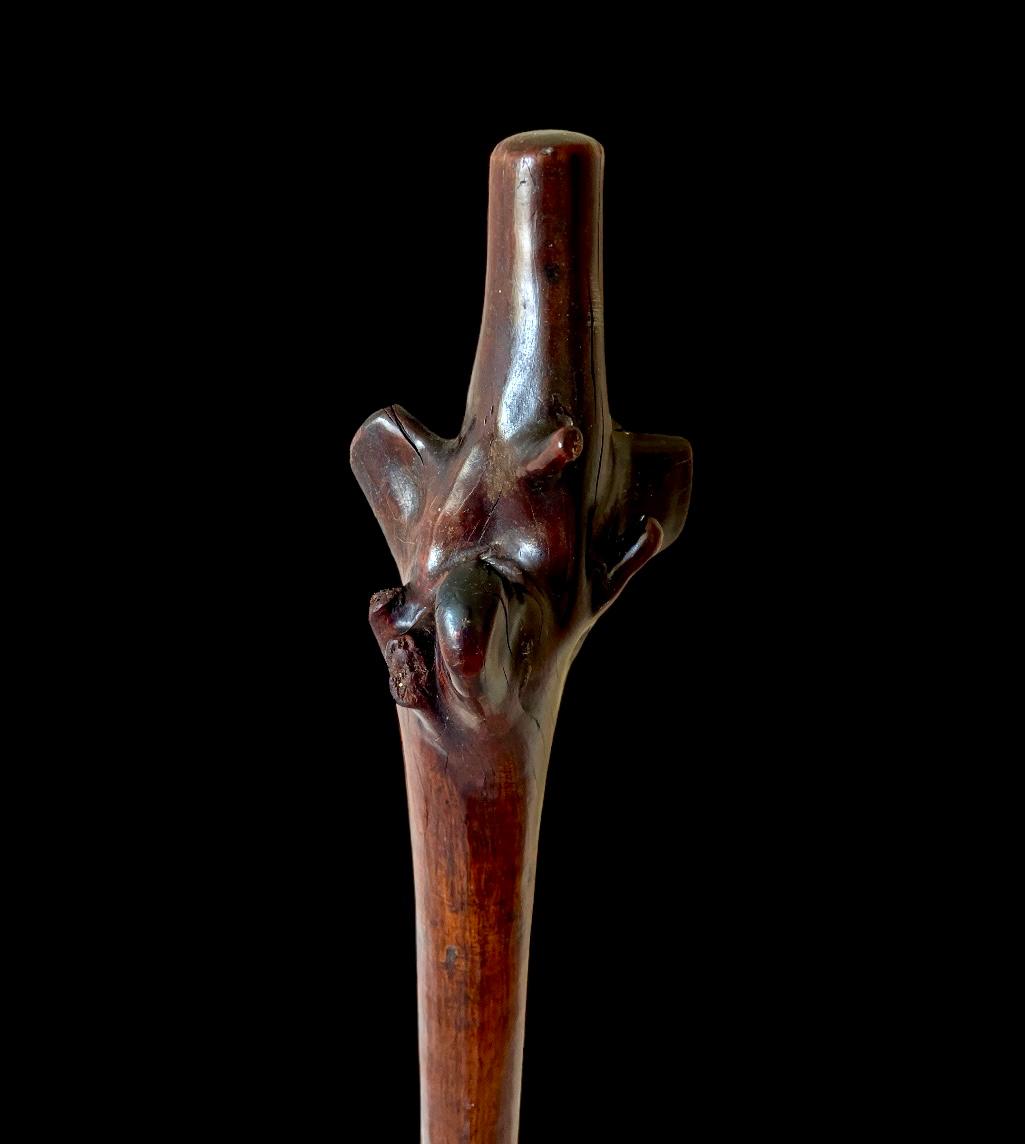 19th-century Fijian rootstock war club carved from hardwood, offered by Nwtiques against black background