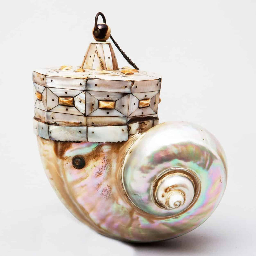 Indian Powder Flask made from iridescent shell with intricate geometric cap, crafted by Collection ON10 showcasing Western Indian artistry.