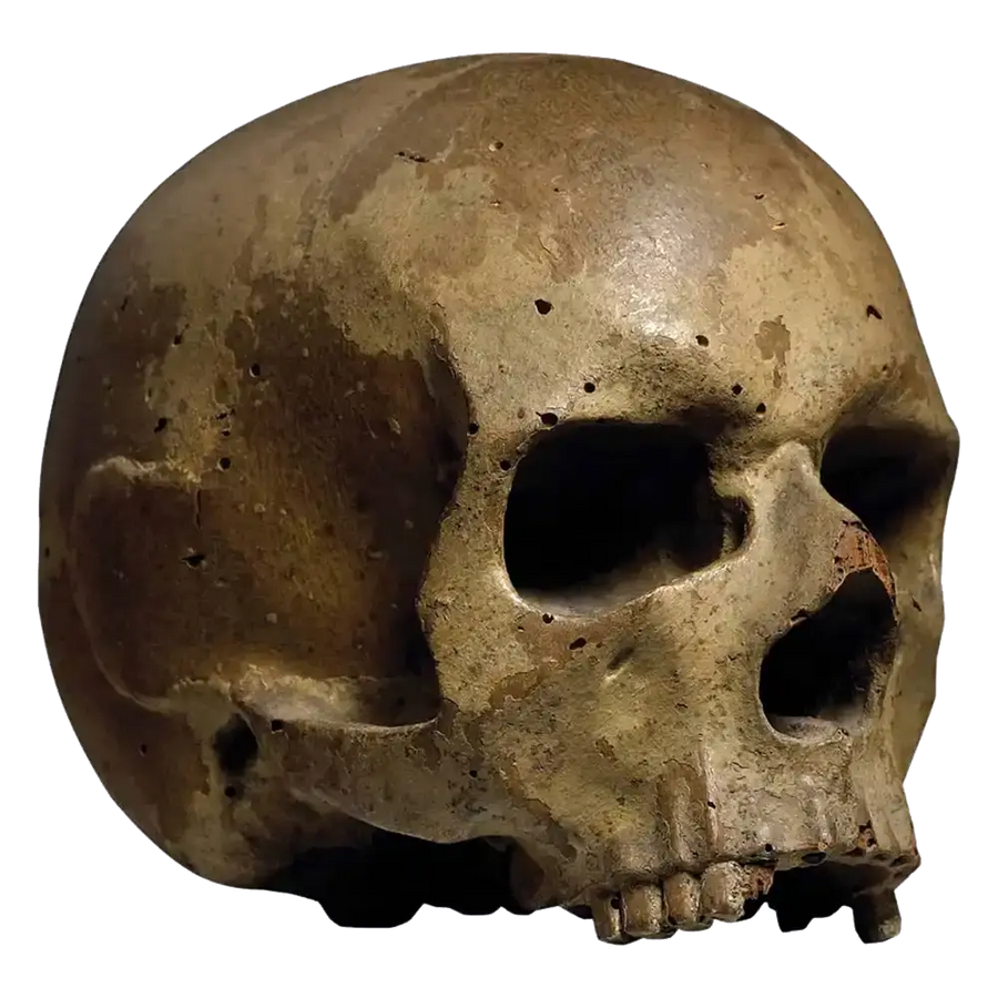 Memento Mori Italian 17th-century carved wooden skull sculpture with original paint, detailed 17.5 cm tall.
